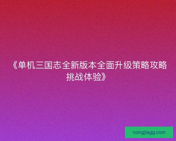 《单机三国志全新版本全面升级策略攻略挑战体验》