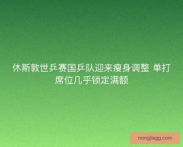 休斯敦世乒赛国乒队迎来瘦身调整 单打席位几乎锁定满额