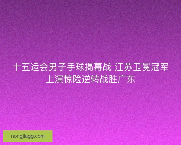 十五运会男子手球揭幕战 江苏卫冕冠军上演惊险逆转战胜广东