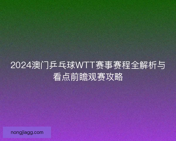 2024澳门乒乓球WTT赛事赛程全解析与看点前瞻观赛攻略