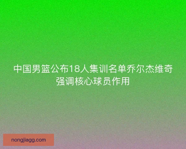 中国男篮公布18人集训名单乔尔杰维奇强调核心球员作用