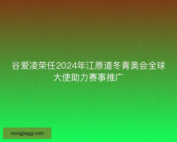 谷爱凌荣任2024年江原道冬青奥会全球大使助力赛事推广