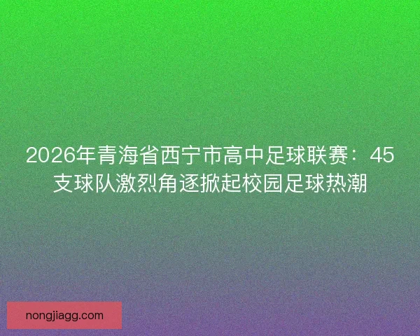 2026年青海省西宁市高中足球联赛：45支球队激烈角逐掀起校园足球热潮