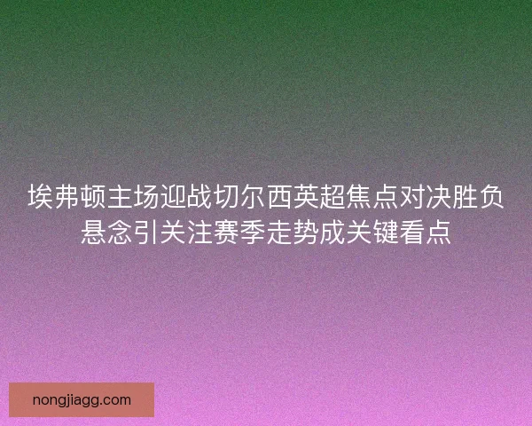 埃弗顿主场迎战切尔西英超焦点对决胜负悬念引关注赛季走势成关键看点 埃弗顿主场迎战切尔西英超焦点对决胜负悬念引关注赛季走势成关键看点