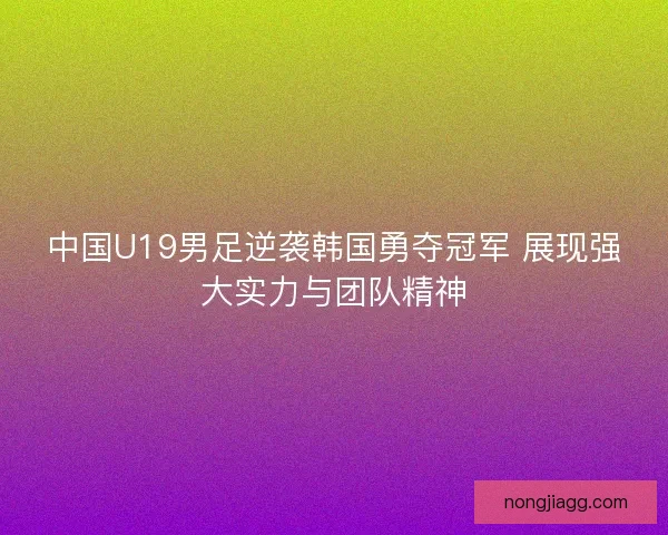 中国U19男足逆袭韩国勇夺冠军 展现强大实力与团队精神
