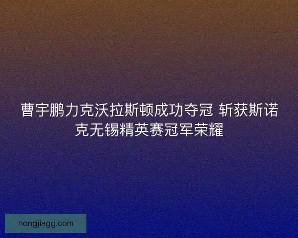 曹宇鹏力克沃拉斯顿成功夺冠 斩获斯诺克无锡精英赛冠军荣耀