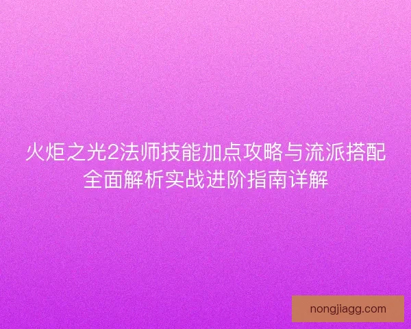 火炬之光2法师技能加点攻略与流派搭配全面解析实战进阶指南详解
